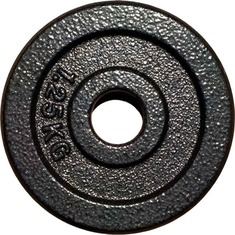 

Диск ZEZ Sport DK-1.25 (окрашенный)