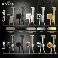 Гигиенический душ Roxen Santi 50094000-GB