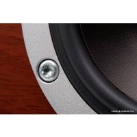 Напольная акустика Dynaudio Excite X34