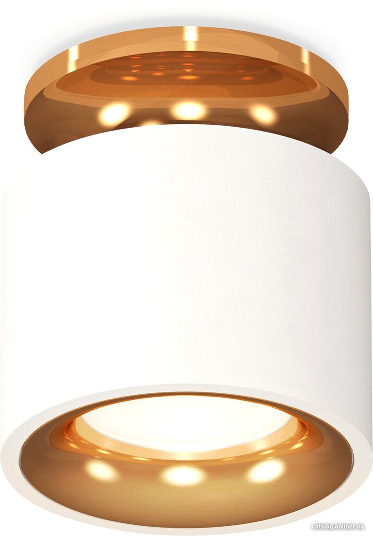Припотолочная люстра Ambrella light Techno spot XS7510121 SWH/PYG