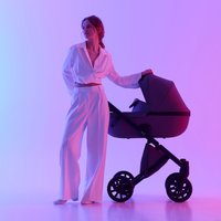 Универсальная коляска Anex E/type 2022 (2 в 1, gothic et-03A)