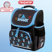 Школьный рюкзак Пифагор Basic. Angry Shark 272044