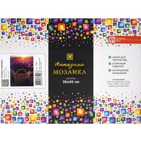 Алмазная мозаика  Феникс+ Корзина с лавандой 70844