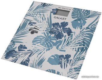 Напольные весы Galaxy Line GL4801