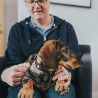 Ошейник Hunter Collar Swiss 42831 (60/M-L, коричневый)