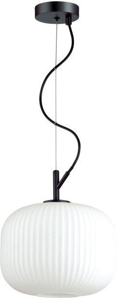 

Подвесная люстра Odeon Light Roofi 4753/1