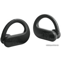 Наушники JBL Endurance Peak 3 (черный)