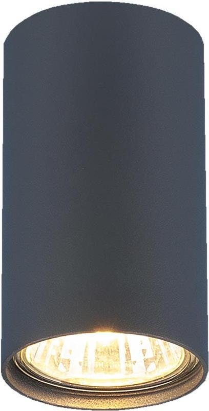 

Точечный светильник Elektrostandard 1081 GU10 GR