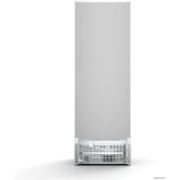 Холодильник Bosch Serie 4 KGN49XWEA