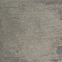 Облицовочная плитка Delconca HPE8 Hard G6PE08 450x450 в Пинске