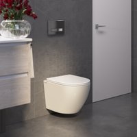 Унитаз подвесной Berges Wasserhaus Okus Rimless 043392 (с сиденьем)