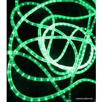 Дюралайт Rich Led 3-проводной RL-DL-3W-100-240-G 13мм (зеленый)