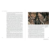 Книга издательства Альпина Паблишер. Идол, защищайся! Культ образов и иконоборческое насилие (Майзульс М.)