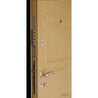 Металлическая дверь Белстатус Стандарт+