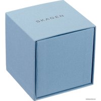 Наручные часы Skagen SKW6390