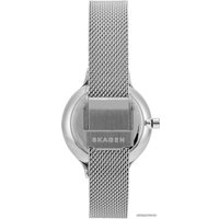Наручные часы Skagen Anita SKW2862