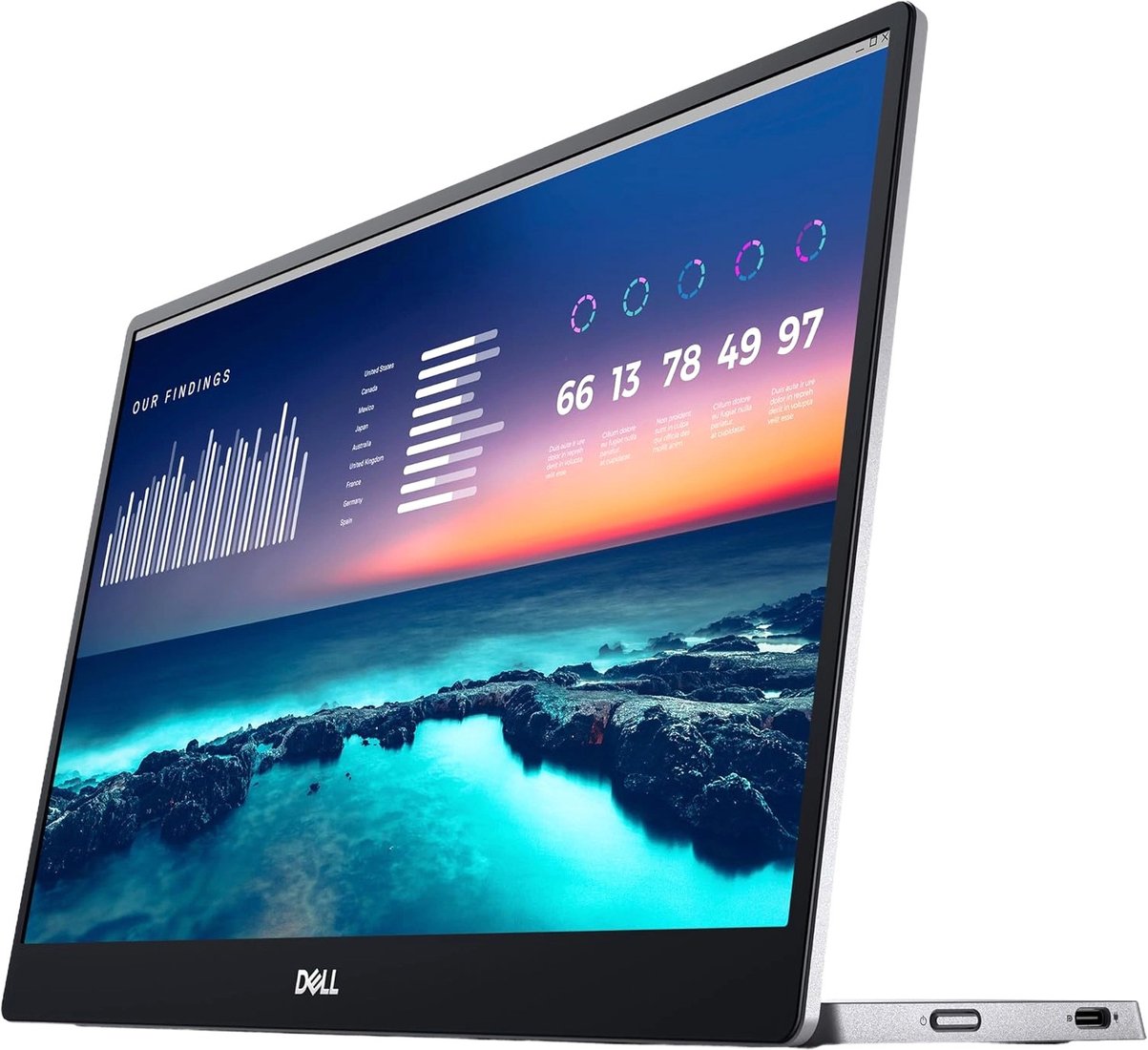 

Портативный монитор Dell P1424H