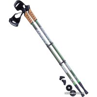 Палки для скандинавской ходьбы Berger Rainbow 77-135 (черный/зеленый)