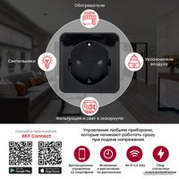 Умная розетка EKF Сonnect PRO Wi-Fi (черный)