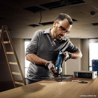 Реноватор Bosch GOP 300 SCE Professional (0601230500)