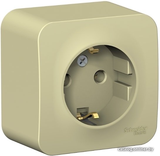 Розетка Schneider Electric BLNRA010117