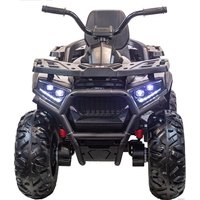 Электроквадроцикл Toyland Qwatro 4х4 ХМХ607 (карбон краска)