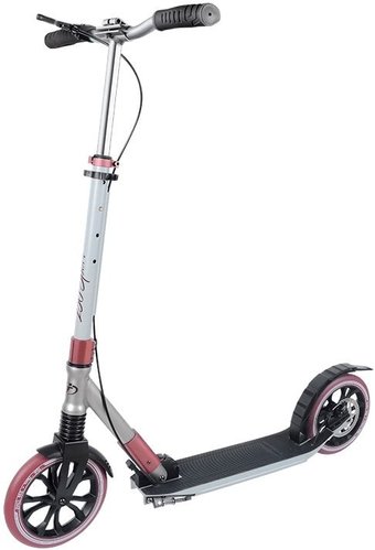 Двухколесный подростковый самокат Tech Team Sport 230R 2020 (белый/серый)