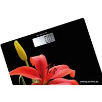 Напольные весы CENTEK CT-2416