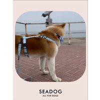 Ошейник Seadog Blue Seagull M в Солигорске