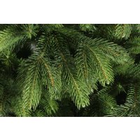 Ель Царь Елка Беверли 1.5 м