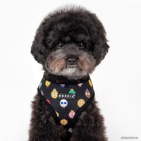 Шлейка-жилетка Puppia Lady Beetle-A PAWA-HA1957-BK-XL (черный)