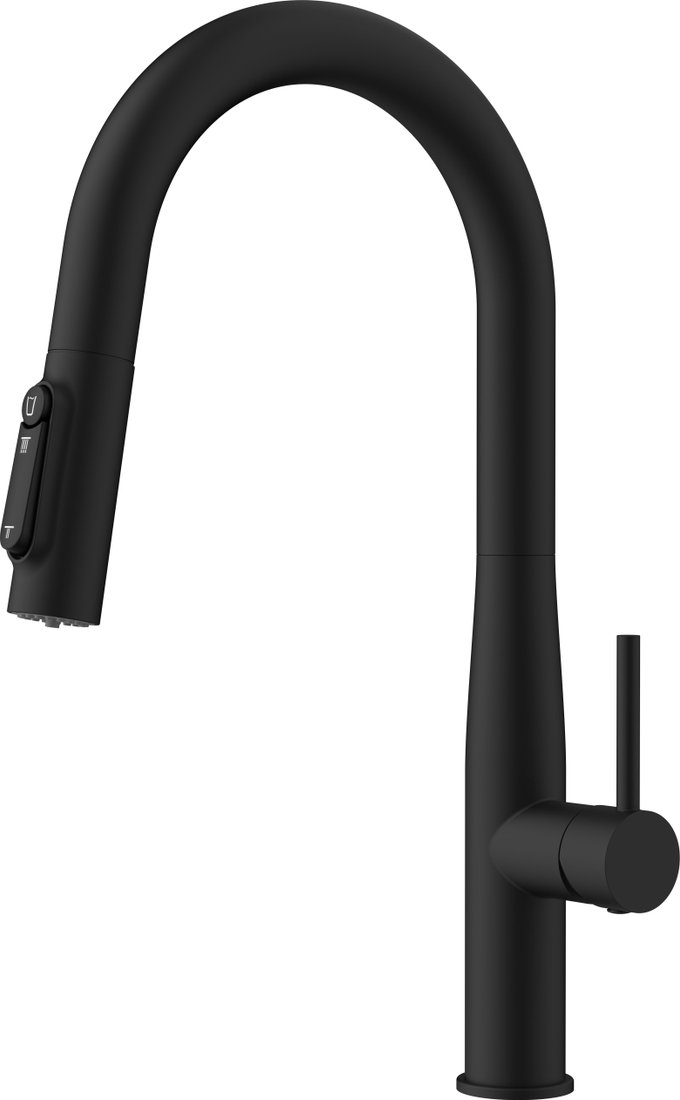 

Смеситель Kaiser Vita 43344-9 (черный матовый)