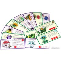 Настольная игра Правильные игры Эволюция. Трава и грибы