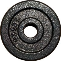 Диск ZEZ Sport DK-1.25 (окрашенный)