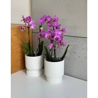 Кашпо Polnix 03.105.13 в Борисове