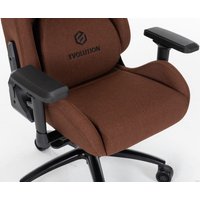 Игровое (геймерское) кресло Evolution Legend (коричневый)