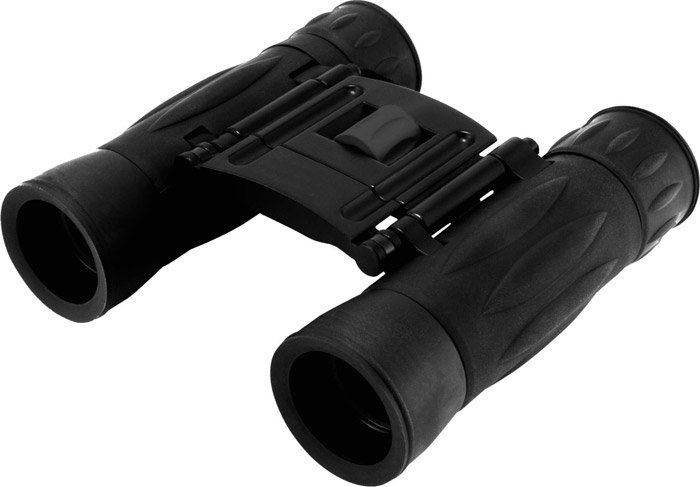 

Бинокль Levenhuk Atom 10x25