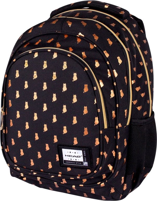 

Школьный рюкзак Astra Golden Kitty 502021564