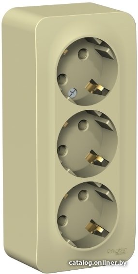 Розетка Schneider Electric BLNRA010317