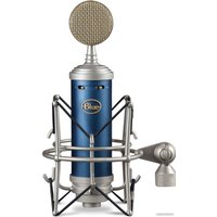 Проводной микрофон Blue Bluebird SL