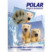 Фотобумага Polar глянцевая A4, 230 г/м2, 100 л [A4G8075]