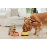 Кормушка электронная Petbiz Smart Bowl (зеленый)