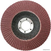 Шлифовальный круг Total TAC631151