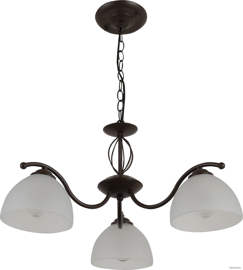 Подвесная люстра Rivoli Jackeline 9141-303 Б0054755