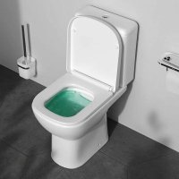 Унитаз напольный AM.PM Sunny Aquaspin C85C8601SC