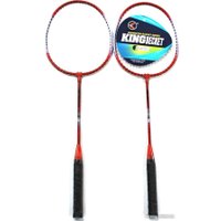 Теннис/бадминтон Zez Sport 666-1
