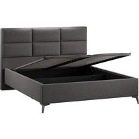 Кровать Трия Делана Тип 1 с подъемным механизмом 160x200 (велюр Графит)