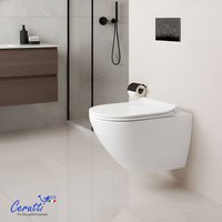 Унитаз подвесной Cerutti Amici Aria Tornado CT11388