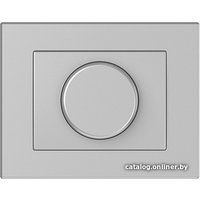 Светорегулятор (диммер) Vilma Express XP 500 ARMP LED (металлик)