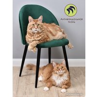 Стул AMI Лори (зеленый)